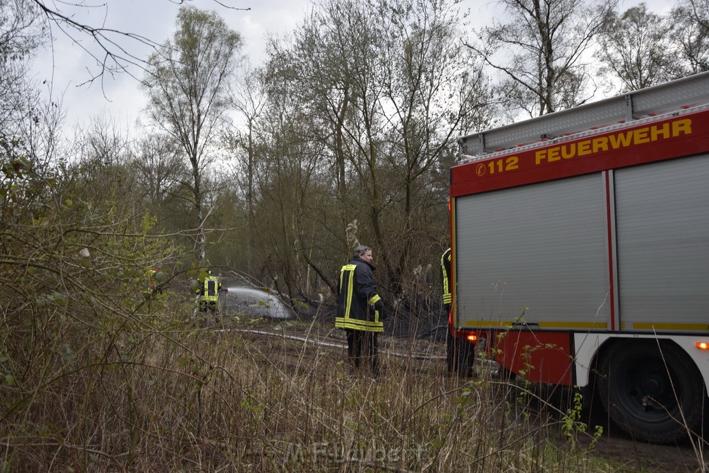 Waldbrand Wahner Heide Troisdorf Eisenweg P474.JPG - Miklos Laubert